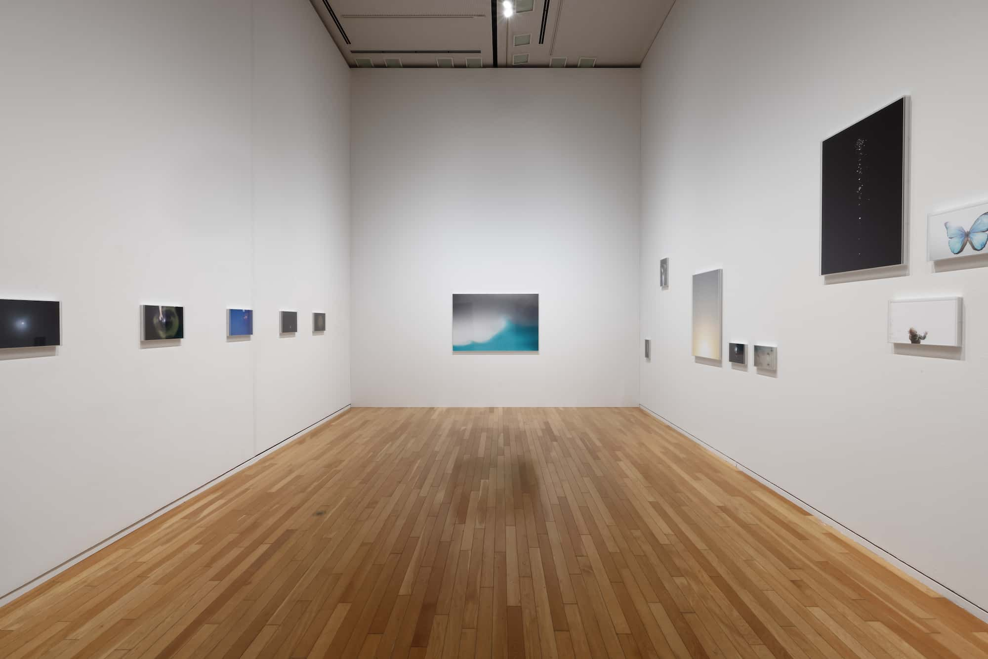 Installation View Rinko Kawauchi