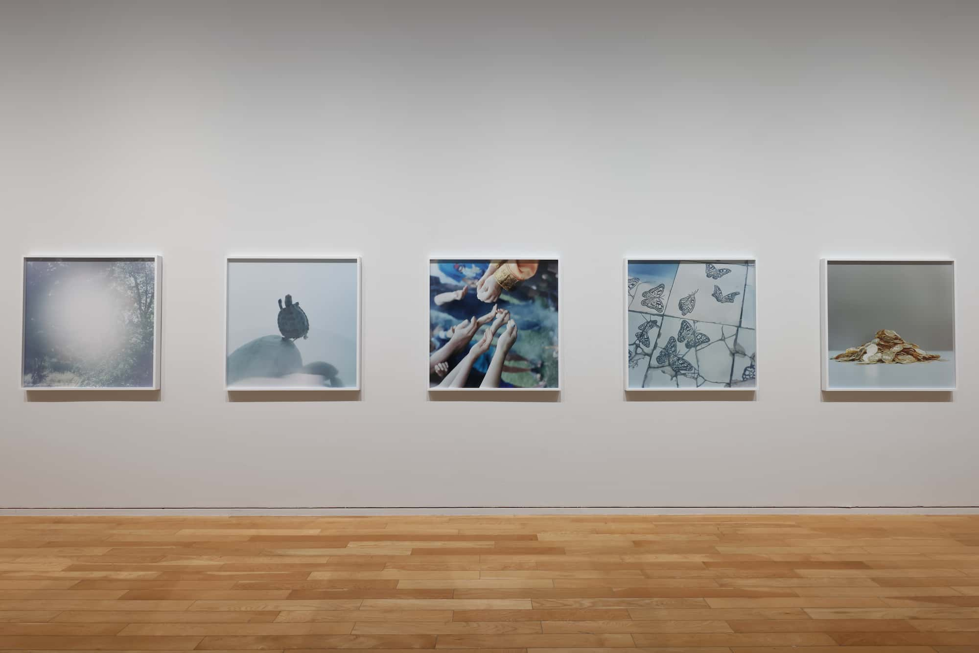 Installation View Rinko Kawauchi