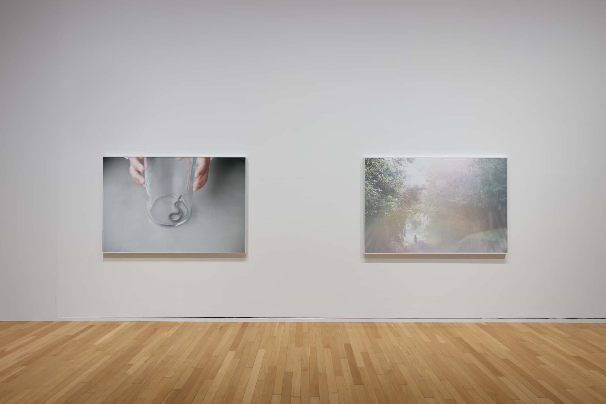 Installation View Rinko Kawauchi