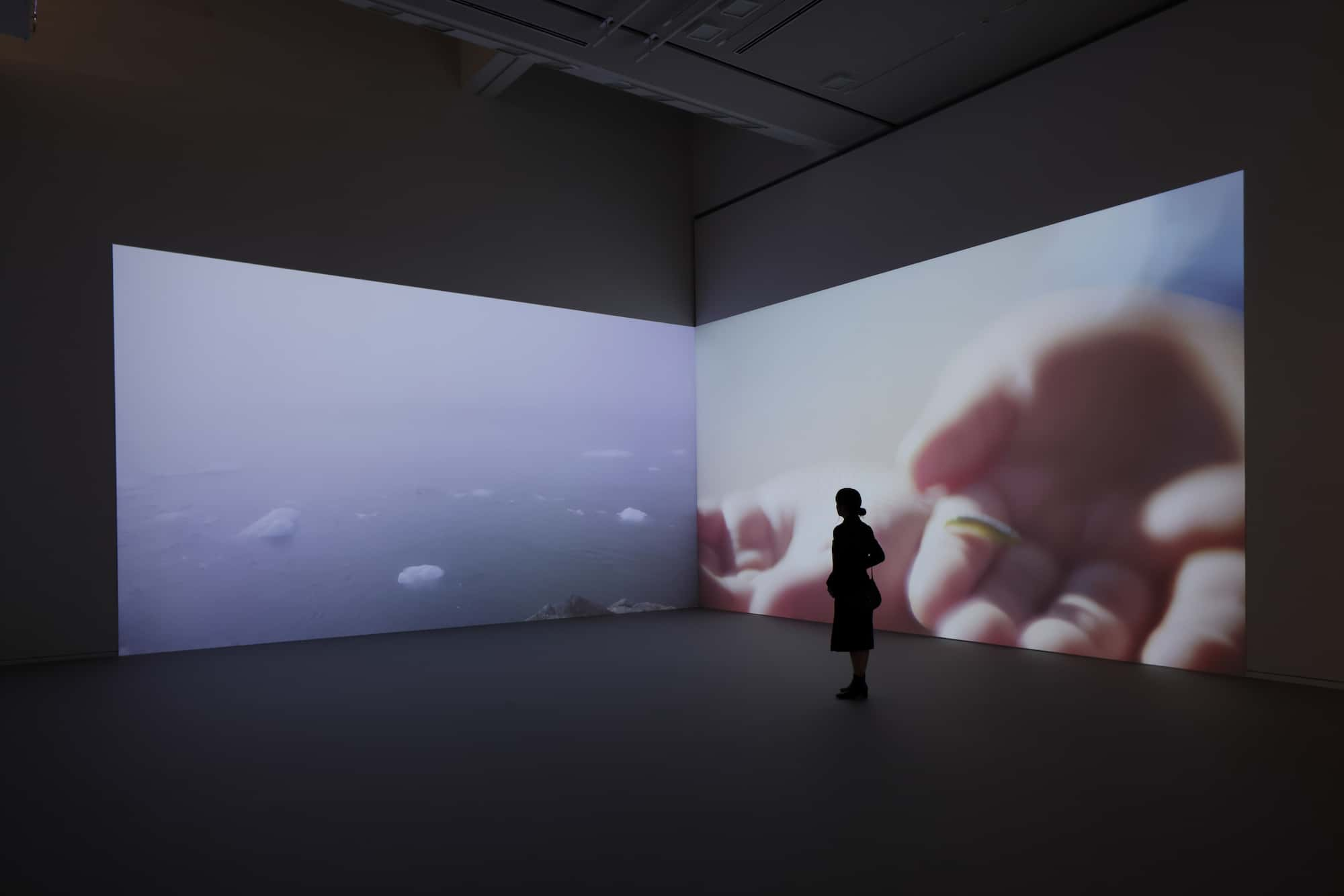 Installation View Rinko Kawauchi